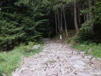2025-06-14 Cime de L'Agnelliere 019